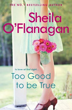 Too Good To Be True P/B by Sheila O'Flanagan