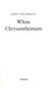 White Chrysanthemum P/B by Mary Lynn Bracht