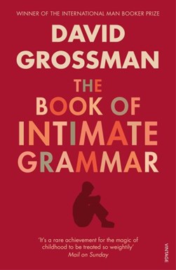 The book of intimate grammar by David Grossman