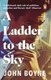 A ladder to the sky by John Boyne
