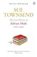 The lost diaries of Adrian Mole, 1999-2001 by Sue Townsend