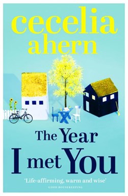 The year I met you by Cecelia Ahern