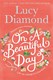 On a Beautiful Day P/B by Lucy Diamond