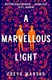 A marvellous light by Freya Marske