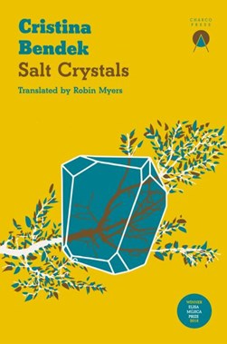 Salt Crystals by Cristina Bendek