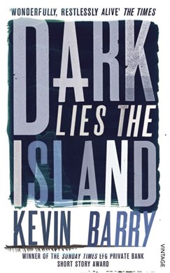 Dark Lies The Island  P/B by Kevin Barry