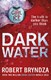 Dark Water P/B by Robert Bryndza