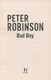 Bad Boy TV Tie In p/b by Peter Robinson