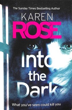 Into The Dark P/B by Karen Rose