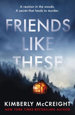 Friends Like These P/B by Kimberly McCreight