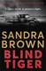 Blind tiger by Sandra Brown
