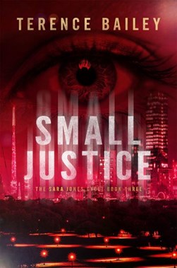 Small justice by Terence Bailey