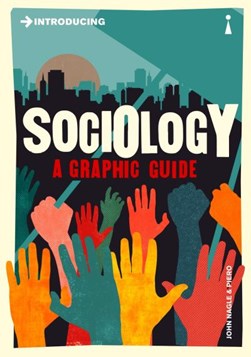 Introducing sociology by 