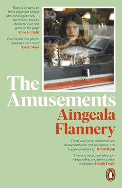 The amusements by Aingeala Flannery