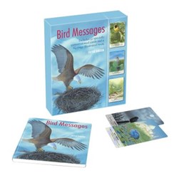 Bird messages by Susie Green