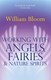 Working With Angels Fairies & Nature Spiri by William Bloom