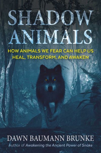 Buy Shadow Animals Book at Easons