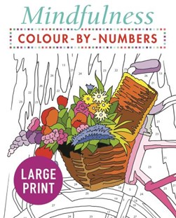 Mindfulness Colour-by-Numbers Large Print by Arcturus Publishing