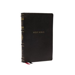 The Holy Bible by 