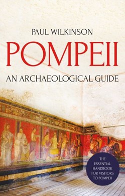 Pompeii by Paul Wilkinson