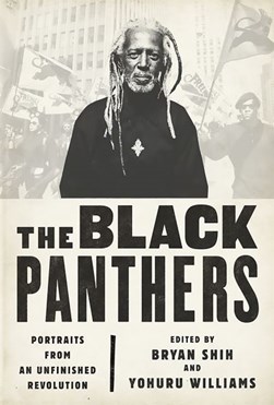 The Black Panthers by Bryan Shih