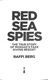 Red sea spies by Raffi Berg