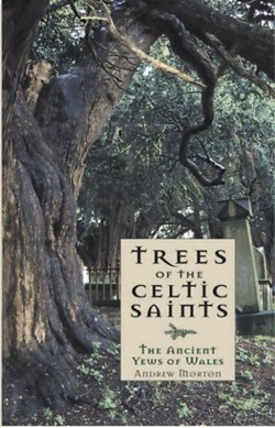 Trees of the Celtic Saints by Andrew Morton