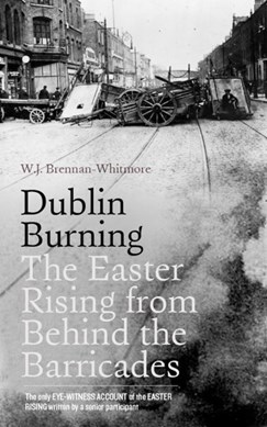 Dublin burning by W. J. Brennan-Whitmore