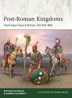 Post-Roman kingdoms by Raffaele D'Amato