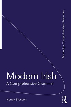 Modern Irish by Nancy Stenson