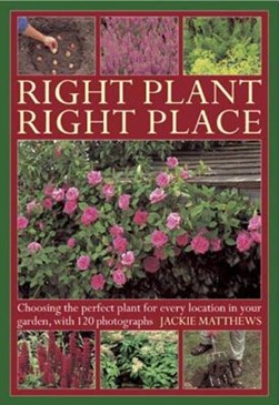 Right plant, right place by Jackie Matthews