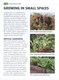 RHS grow fruit & veg guide by Helen Fewster