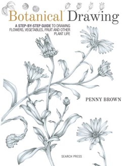 Botanical drawing by Penny Brown
