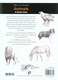 How to draw animals in simple steps by Polly Pinder