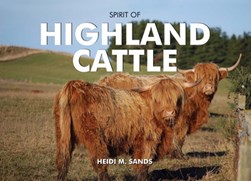 Spirit of Highland Cattle by Heidi M. Sands