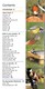 RSPB Pocket Garden Birdwatch P/B by Mark Ward