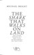 The shark that walks on land by Michael Bright