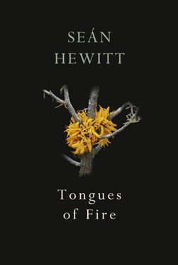Tongues Of Fire P/B by Seán Hewitt
