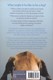 Inside Of A Dog  P/B by Alexandra Horowitz