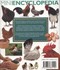 Chicken breeds and care by Frances Bassom