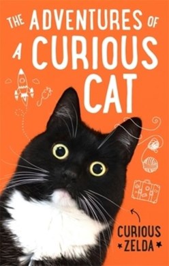 The adventures of a curious cat by Curious Zelda