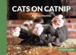 Cats on Catnip by Andrew Marttila