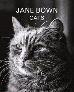 Cats by Jane Bown