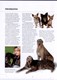 Complete Book Of Dogs H/B by Rosie Pilbeam