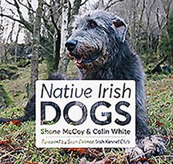 Native Irish dogs by Shane McCoy