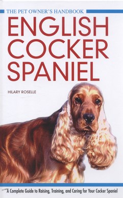 Cocker spaniel by Hilary Roselle