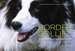 Border collie by Neville Turner