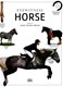 Horse Dk Eyewitness P/B by Juliet Clutton-Brock