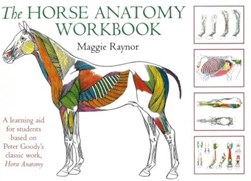 The horse anatomy workbook by Maggie Raynor