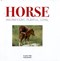 Horse Magnificent Playful Loyal H/B (FS) by Catherine Austen
